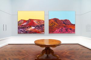 George Cooley, _My Painted Country 4 and My Painted Country 3_. Exhibition view: 18th Adelaide Biennial of Australian Art: _Inner Sanctum_, Art Gallery of South Australia, Adelaide (1 March–2 June 2024). Courtesy Art Gallery of South Australia. Photo: Saul Steed.